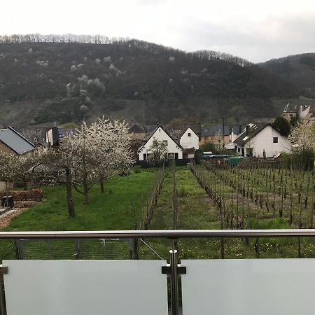 Ferienwohnung " Wein Unter Palmen " Neumagen-Dhron Exteriör bild