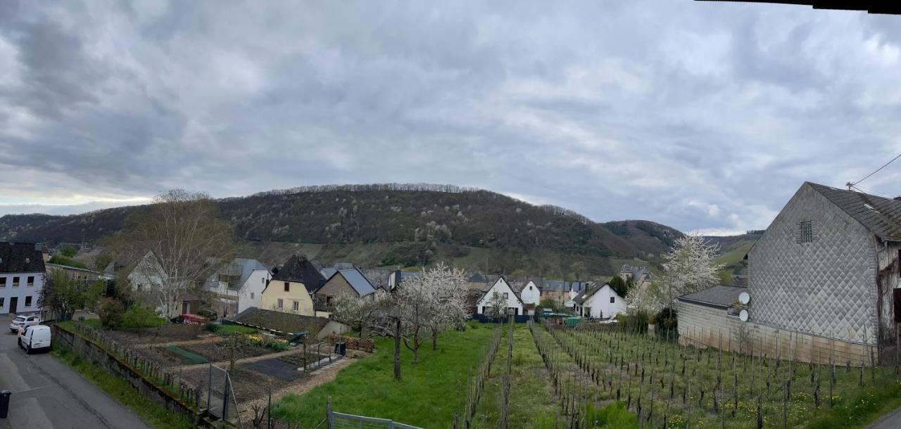 Ferienwohnung " Wein Unter Palmen " Neumagen-Dhron Exteriör bild