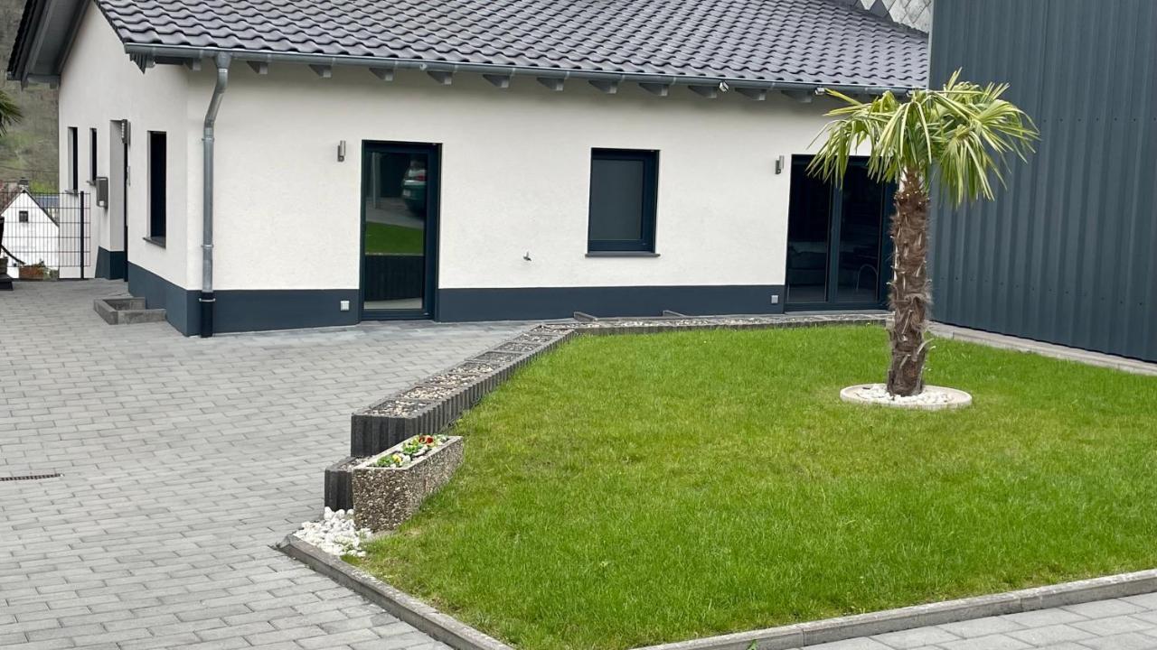 Ferienwohnung " Wein Unter Palmen " Neumagen-Dhron Exteriör bild